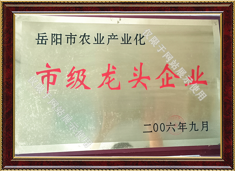 图层 5非结构化