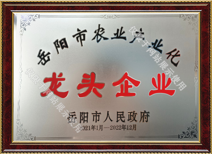 图层 3非结构化