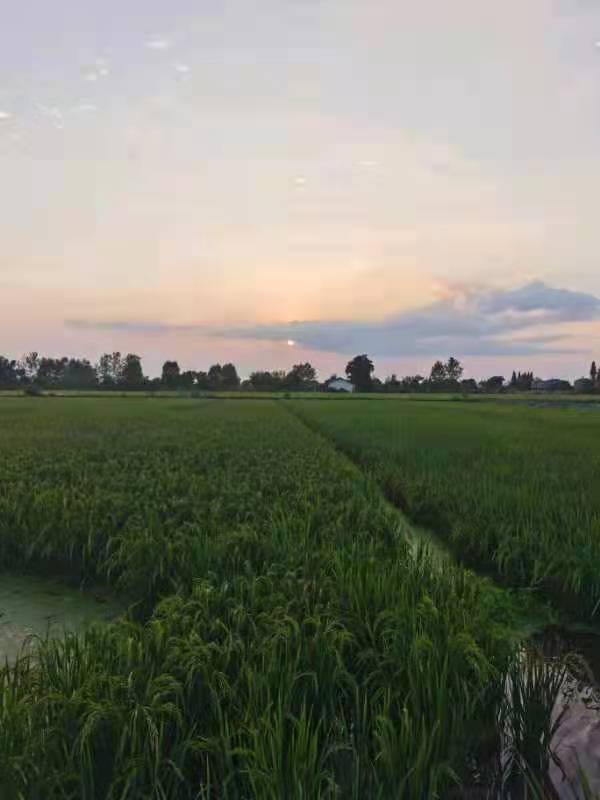 50c12984-7feb-4282-8