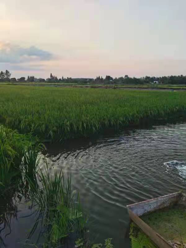 37323251-d109-4fa3-8