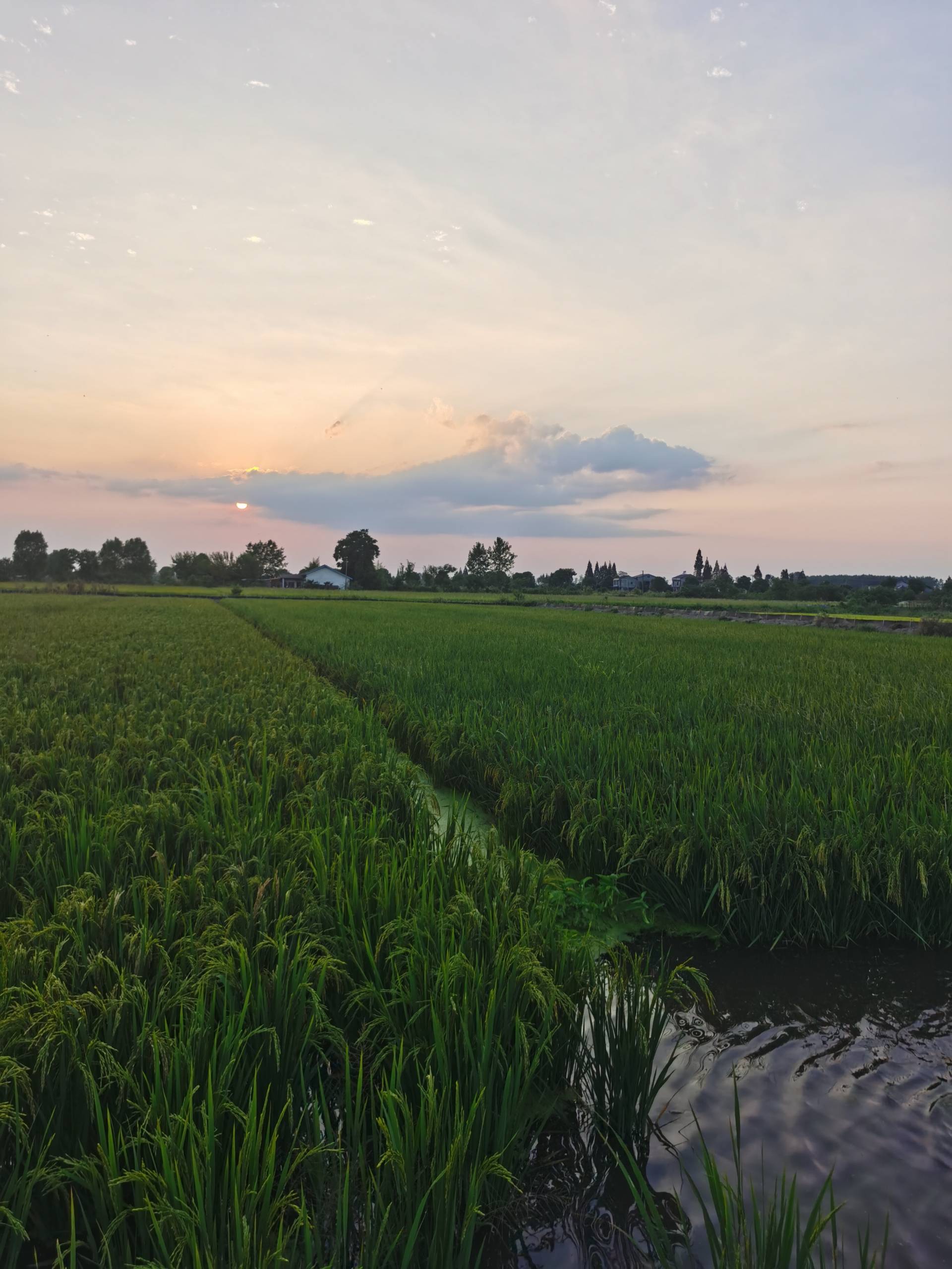 3f9660d0-7746-4438-b