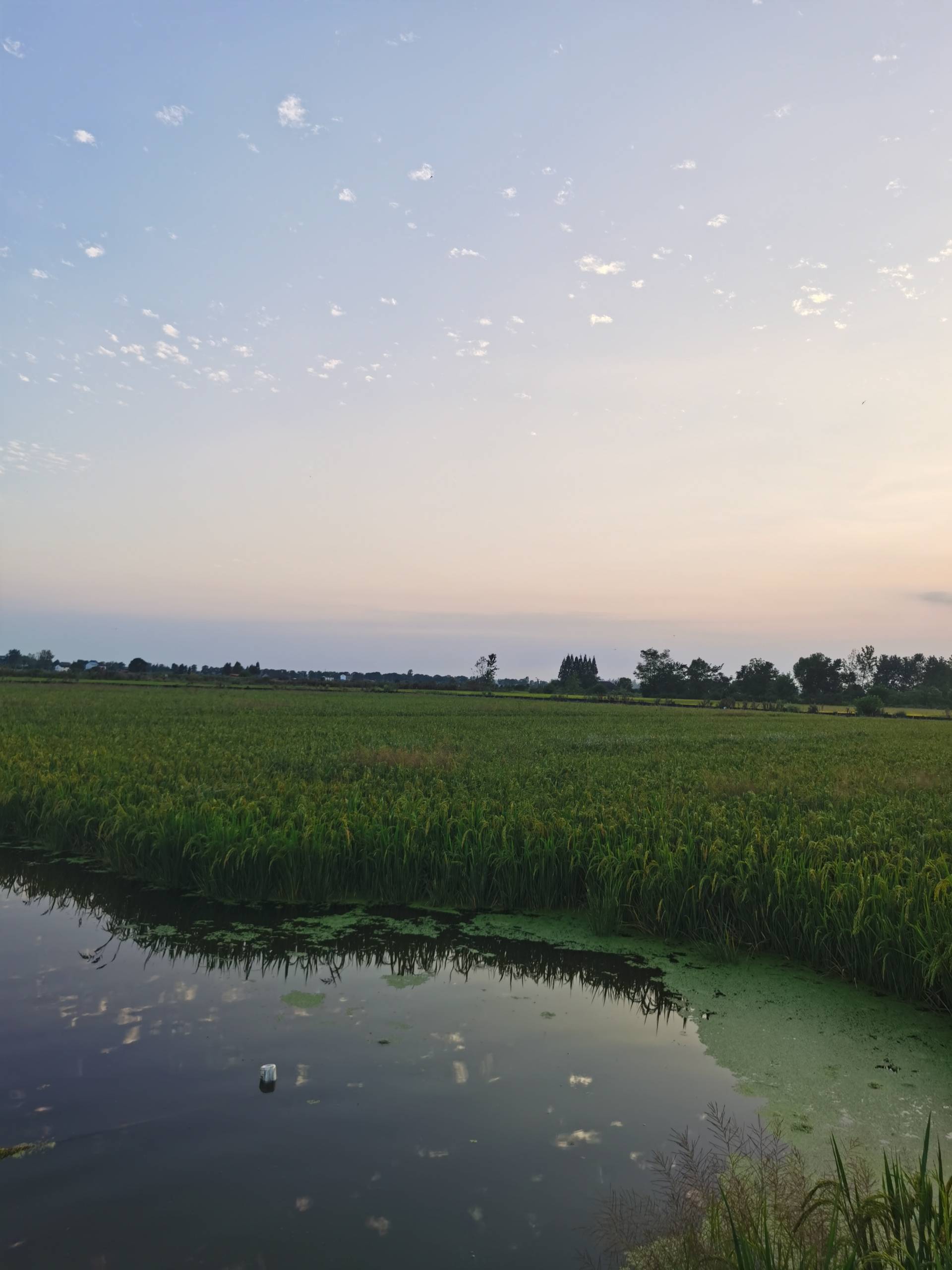 20683bac-d509-427a-8